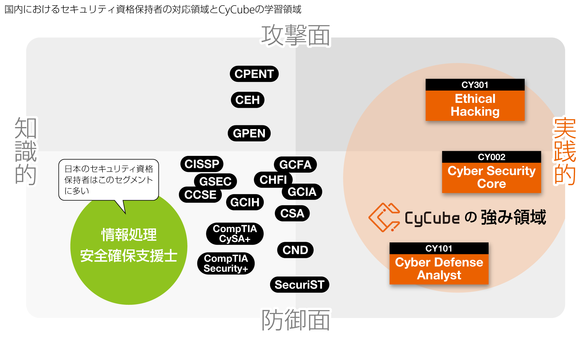 CyCubeの強み領域